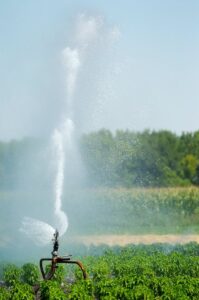 Irrigation-Spout-in-a-Field-Stock